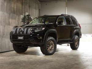 RAYS 57XR-X 16x6J Dark Bronze 58307802016B2 - thumbnail 13