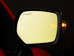 Prova Цветное функциональное зеркало двери GK/GT 90250VL0100/0200