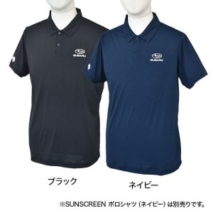 Subaru Поло SUNSCREEN (Черный) FHDS21000601