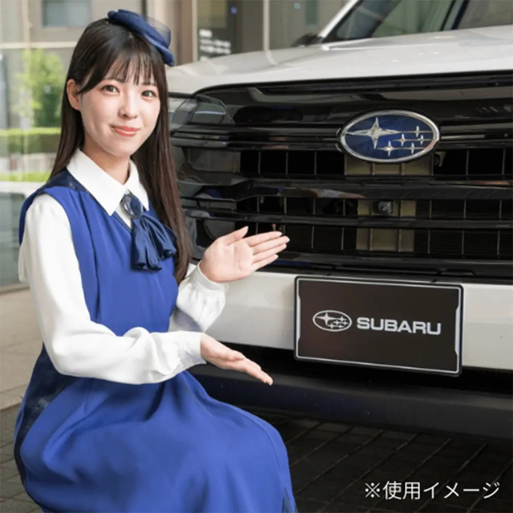 Subaru Крышка номерного знака FHMY25000301 - Фото 12