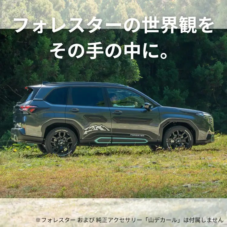 Subaru Наклейка с горами (10 видов) FHUS25000400 - Фото 2