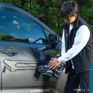 Subaru Защитный трос для боковой части кузова FHUS250007001