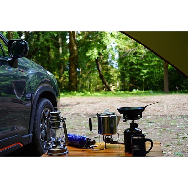 Subaru Боковой тент для автомобиля P103017 - Фото 7