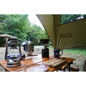 Subaru Боковой тент для автомобиля P103017