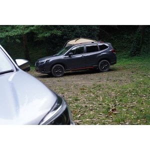 Subaru Боковой тент для автомобиля P103017