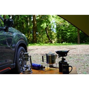 Subaru Боковой тент для автомобиля P103017