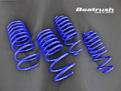 Laile Rear Sports Spring S128041SPR - Photo 5