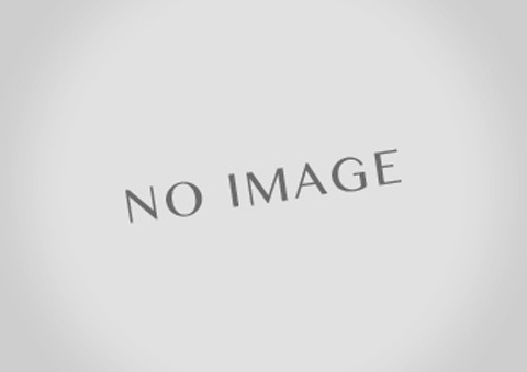 Montaje superior de rótula pilote delantera tipo excéntrico