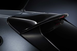 STI Спойлер на крышу SG517FN300