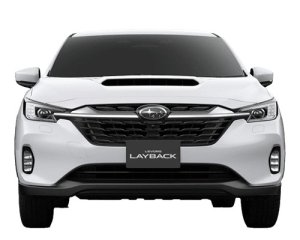 STI Стойка амортизатора F ST2032021000 - thumbnail 4