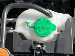 SYMS RESERVE TANK CAP OEM Y100199031